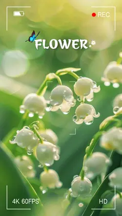 Flower Vlog