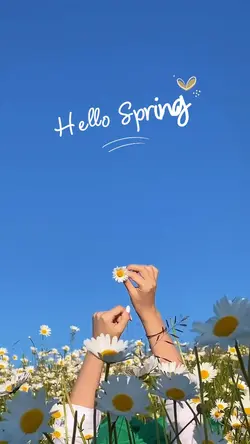 Hello spring