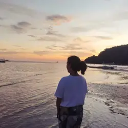 under the sunset 