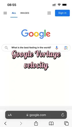 Google velocity