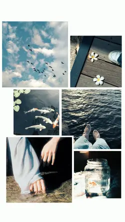 Collage foto estetik