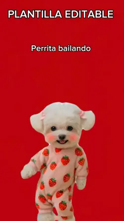 Perrita bailando 