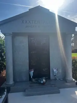 🕊️💐 .
