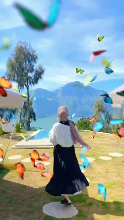 Butterfly Slowmo