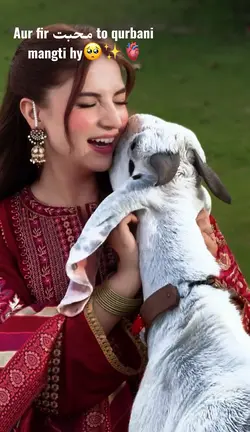 Bakra Eid Template
