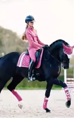 pink pony club! -s