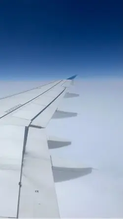 🖤🤍💙