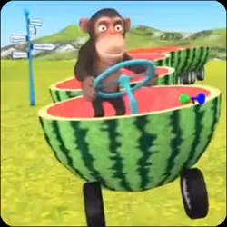 Maymun