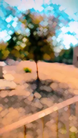 Aesthetic Slomo