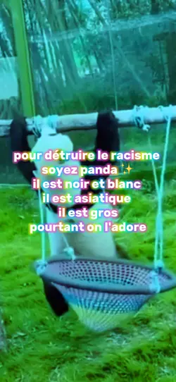Mdrr les panda 
