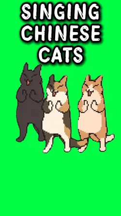 SINGING CHINESE CATS