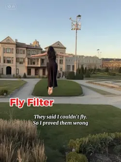 Fly Filter
