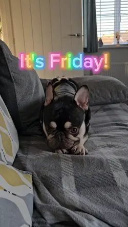 It's Friday!