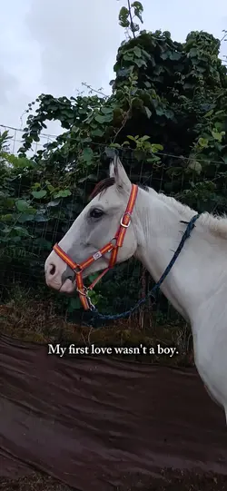 My first love 