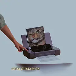 sanapinabillboardmo