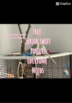 Taylor Swift posters