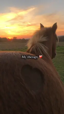 My therapy ❤️🩹
