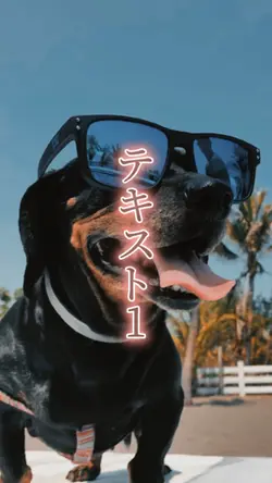 【紹介テンプレ】