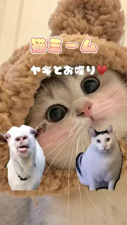 ヤギと猫ミーム