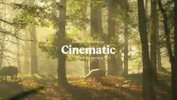 dreamy aesthetic