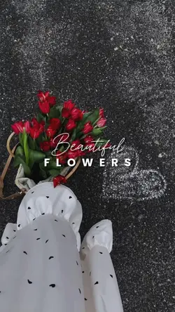 Beautiful Flowers