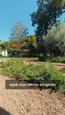 Eşek/Mesafe 