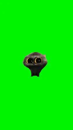 schermo verde 