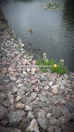 #aktywnosc 