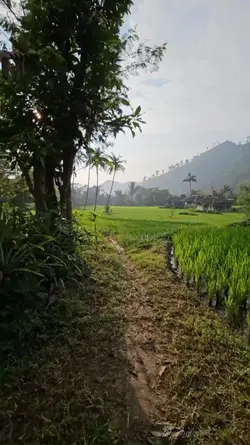 Kacapi Suling