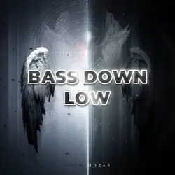 BASS DOWN LOW⚫️