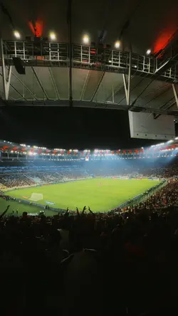 FLAMENGO