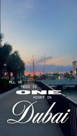 One night in Dubai