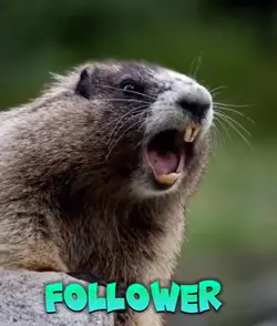 FOLLOWER