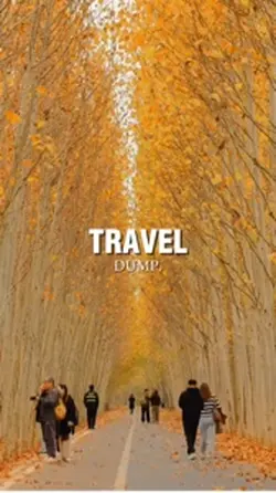 Travel dump