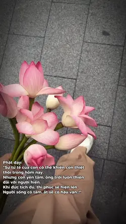 slow mượt cap hay