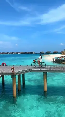 17 Clip Video