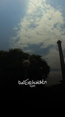 Marzi Nal Nuqsan Lya