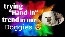 Hands in challenge