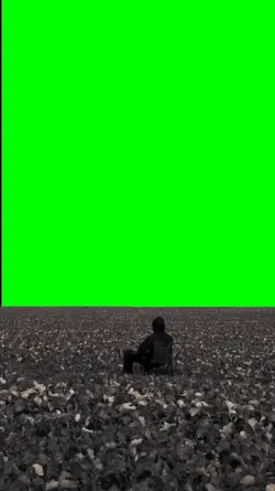 sky green screen