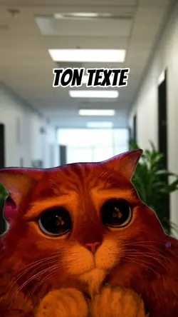 Le chat et l’âne 
