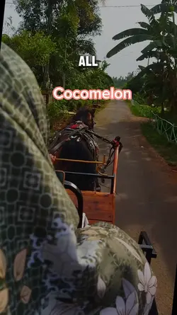 cocomelon