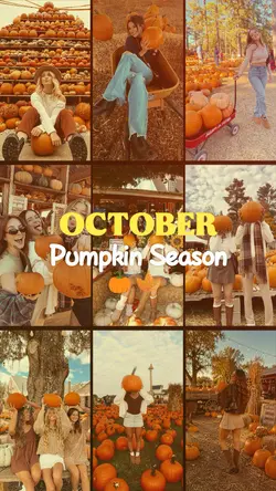 Pumpkin patch 