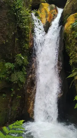 Waterfall Vibes