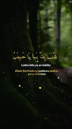 Ludna bika ya habibu
