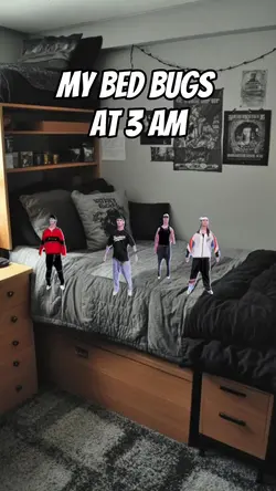 bed bugs at 3 am