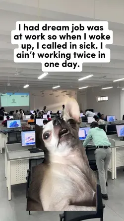 I had dream job