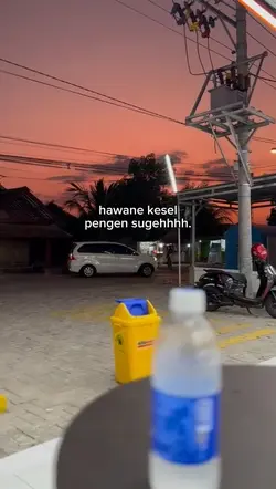 pengen sugeh