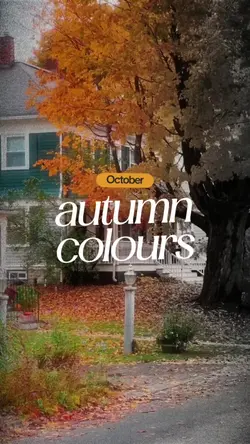 autumn colors