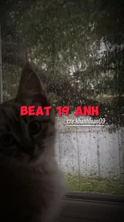 Beat 19 ảnh