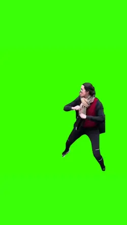 Fight Meme